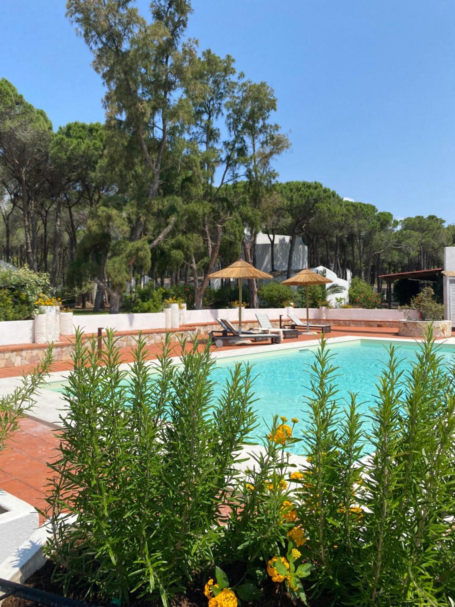 Hotel Mare Pineta Santa Margherita di Pula Kültér fotó